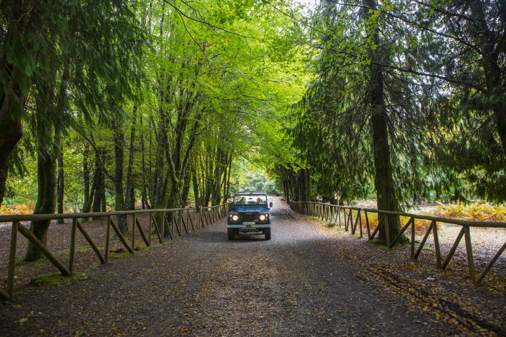 Viagem de carro pela Ilha da Madeira: dicas e roteiros para explorar a região