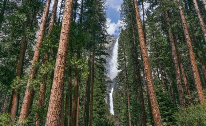 Yosemite Park