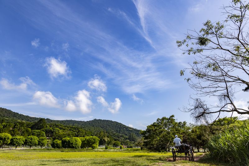 hotel-fazenda