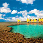 Piscinas naturais, mangues e coqueirais: veja lindas fotos de Porto de Galinhas