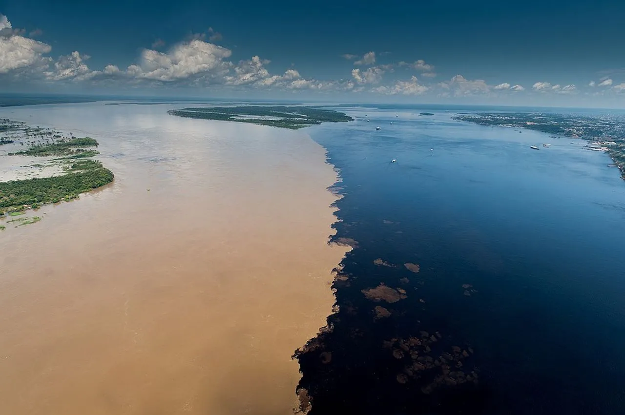 Descubra o que fazer em Manaus, no Amazonas