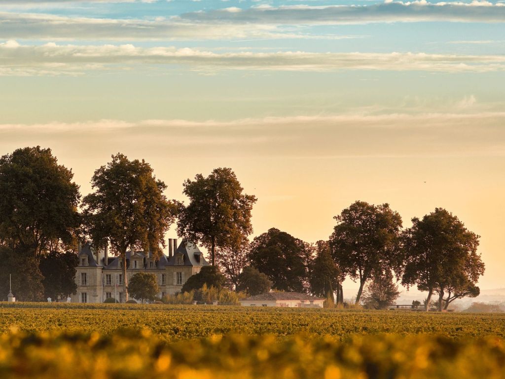 Aulas de gastronomia e ioga: como as experiências de viagem estão mudando