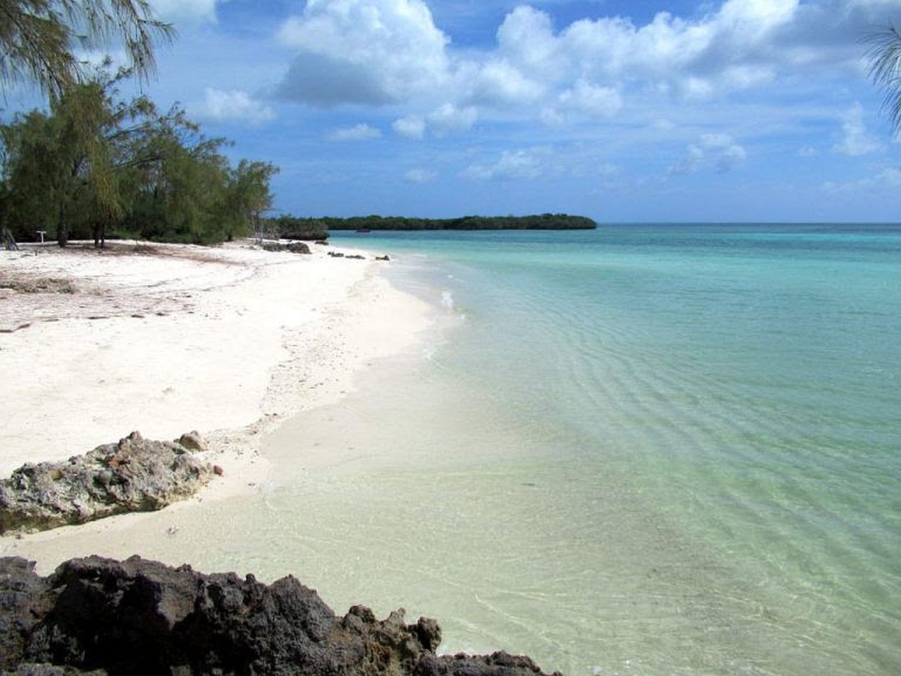 Já ouviu falar em Aldabra, um dos lugares mais lindos e isolados do mundo?