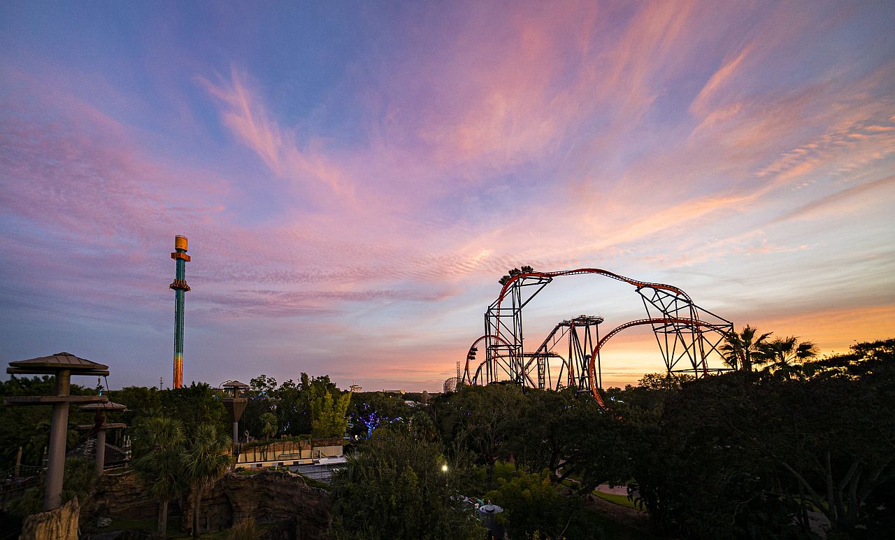 10 curiosidades sobre o Busch Gardens, na Flórida