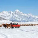 Estação de esqui e clima de Velho Oeste: conheça Jackson Hole, nos EUA