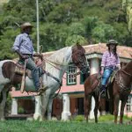 Rio de Janeiro: hotéis fazenda preservam o turismo histórico