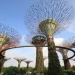 Por que Singapura é um dos destinos mais limpos do mundo