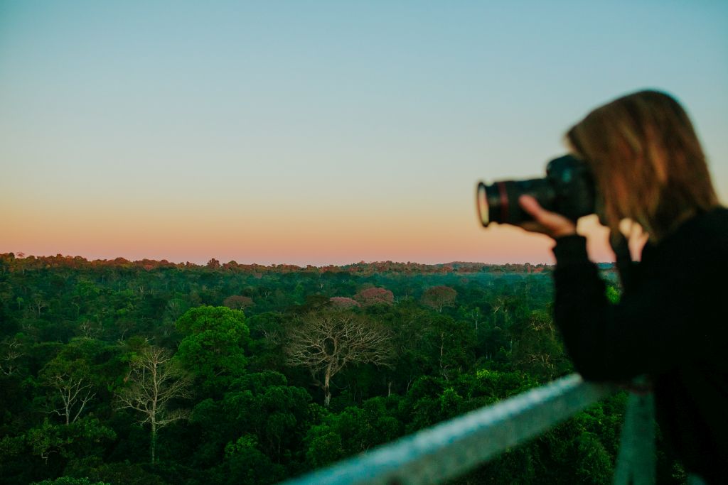 4 torres de observação para contemplar a natureza