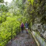 Ilha da Madeira flexibiliza restrições para turistas