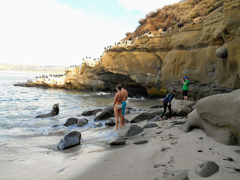 Surf na Califórnia – Roteiro com as melhores praias e dicas incríveis