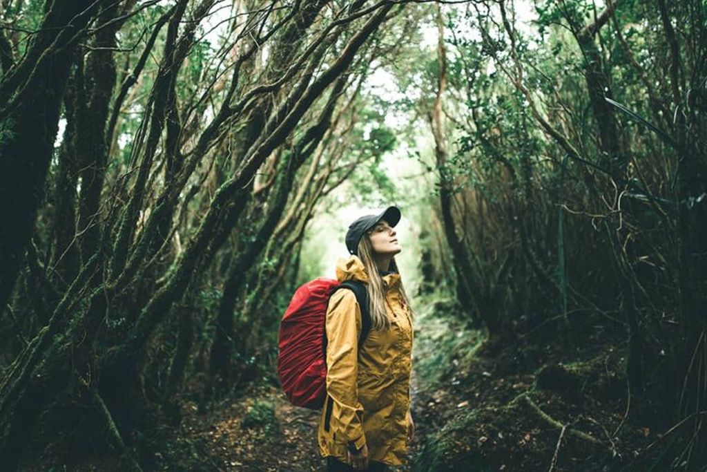 Hotéis no Chile oferecem banhos de bosque