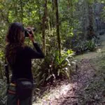 Hotel oferece birdwatching em Campos do Jordão