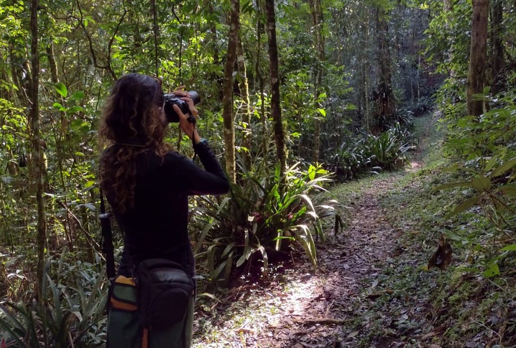 Hotel oferece birdwatching em Campos do Jordão