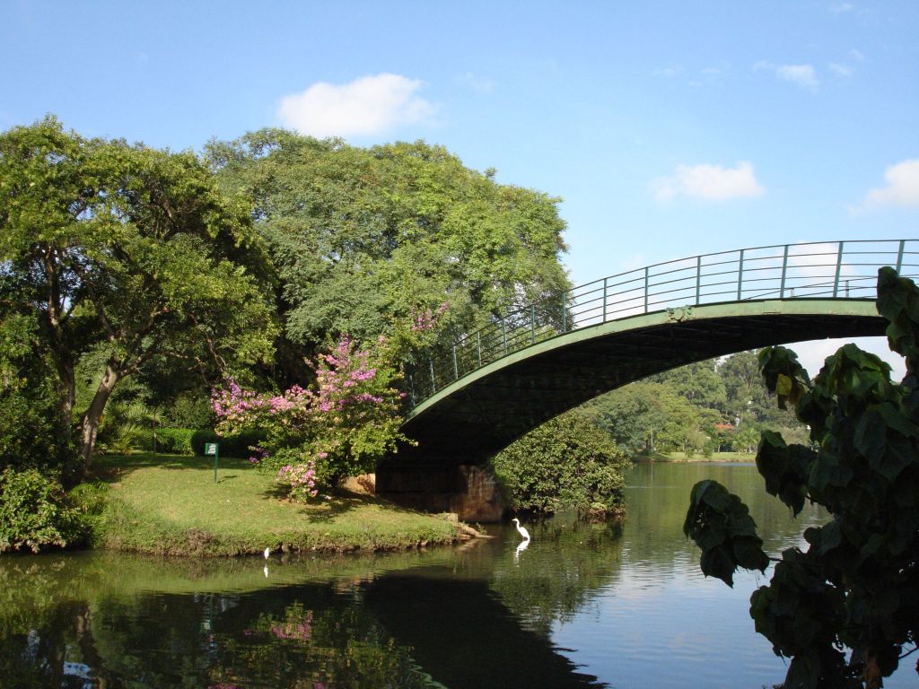 6 curiosidades sobre o Parque Ibirapuera, em São Paulo