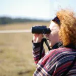 Litoral de Santa Catarina aposta em roteiro de observação de aves