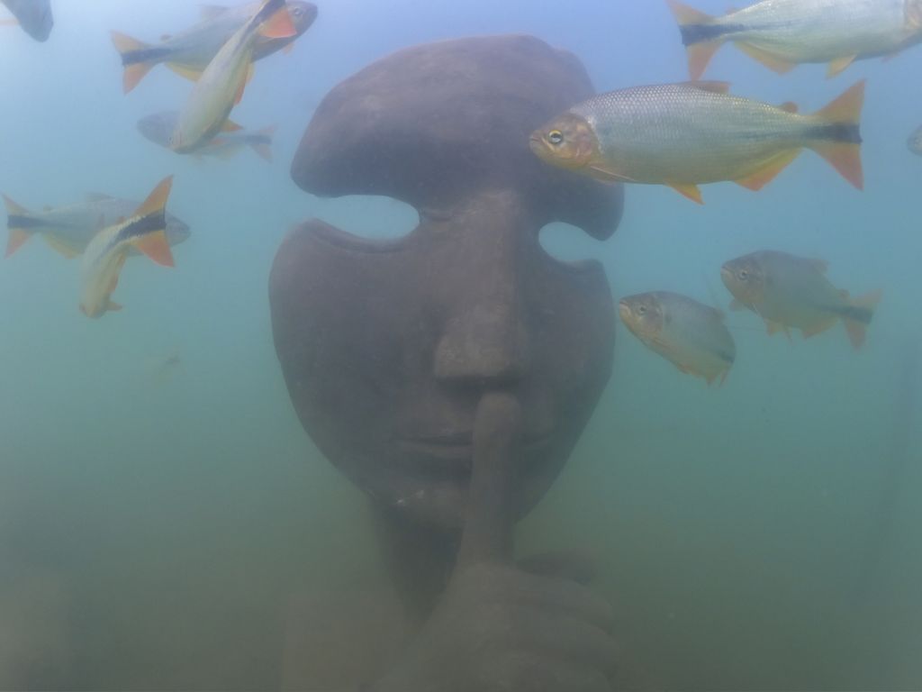 Conheça o Museu Subaquático de Bonito