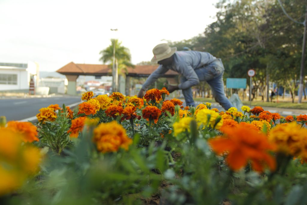 Cidade de São Pedro apresenta novidades para a alta temporada