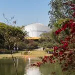 Planetário Ibirapuera comemora 65 anos e ganha programação especial