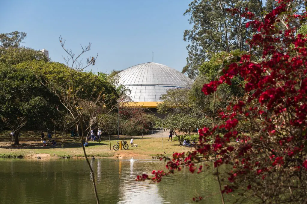 Planetário Ibirapuera comemora 65 anos e ganha programação especial