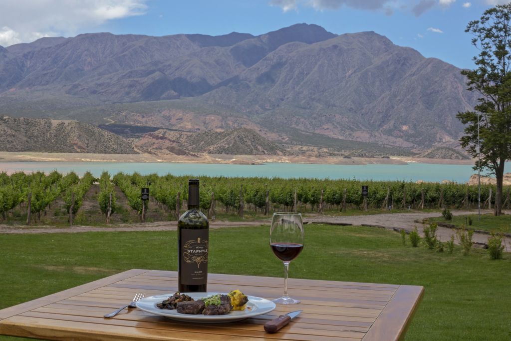 Rotas do vinho na Argentina passam por Mendoza e Patagônia