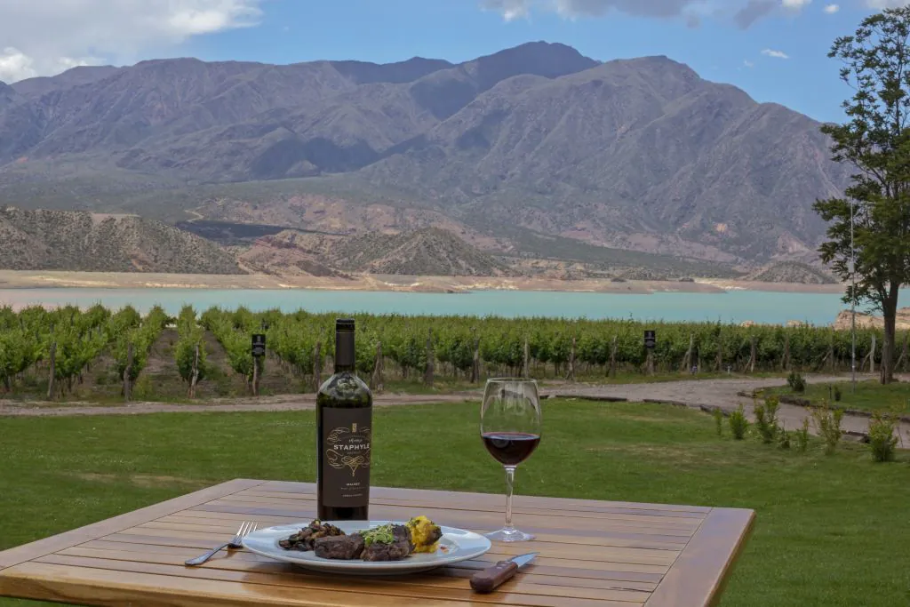 Rotas do vinho na Argentina passam por Mendoza e Patagônia