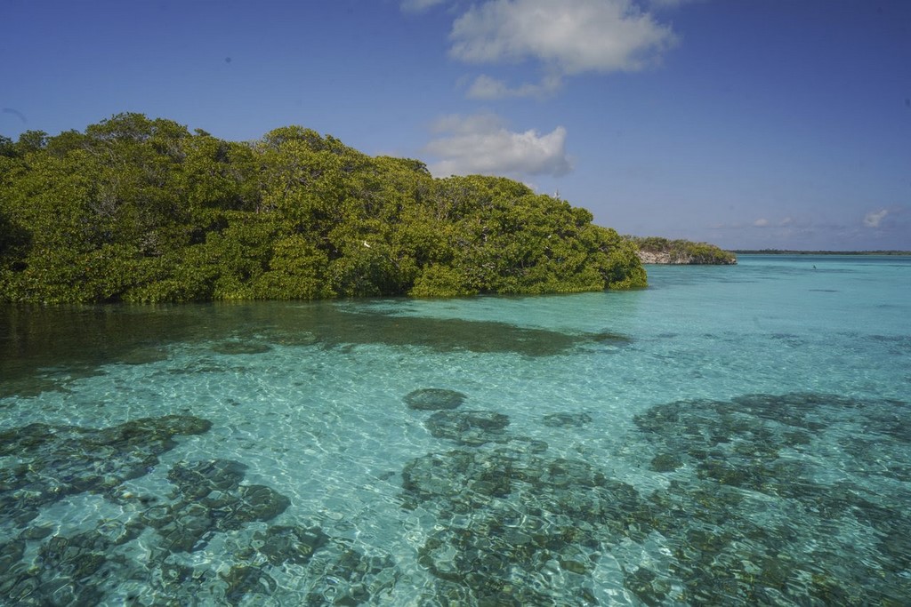 Três lugares para mergulhar em Seychelles