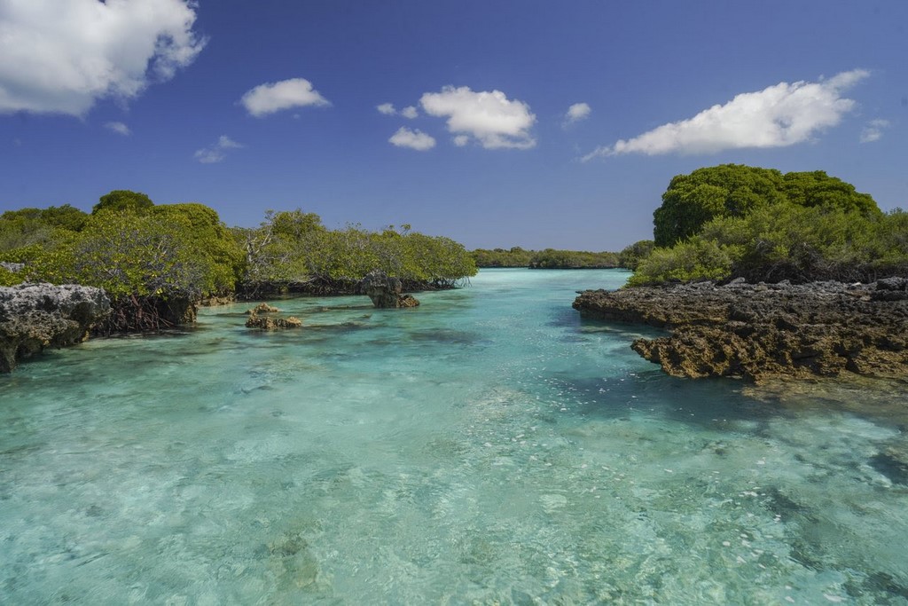 Três lugares para mergulhar em Seychelles