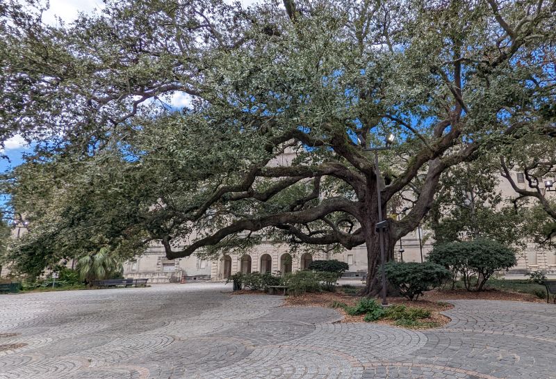 O que fazer em New Orleans – 23 atrações incríveis e dicas