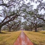 O que fazer nos arredores de New Orleans – 5 plantations