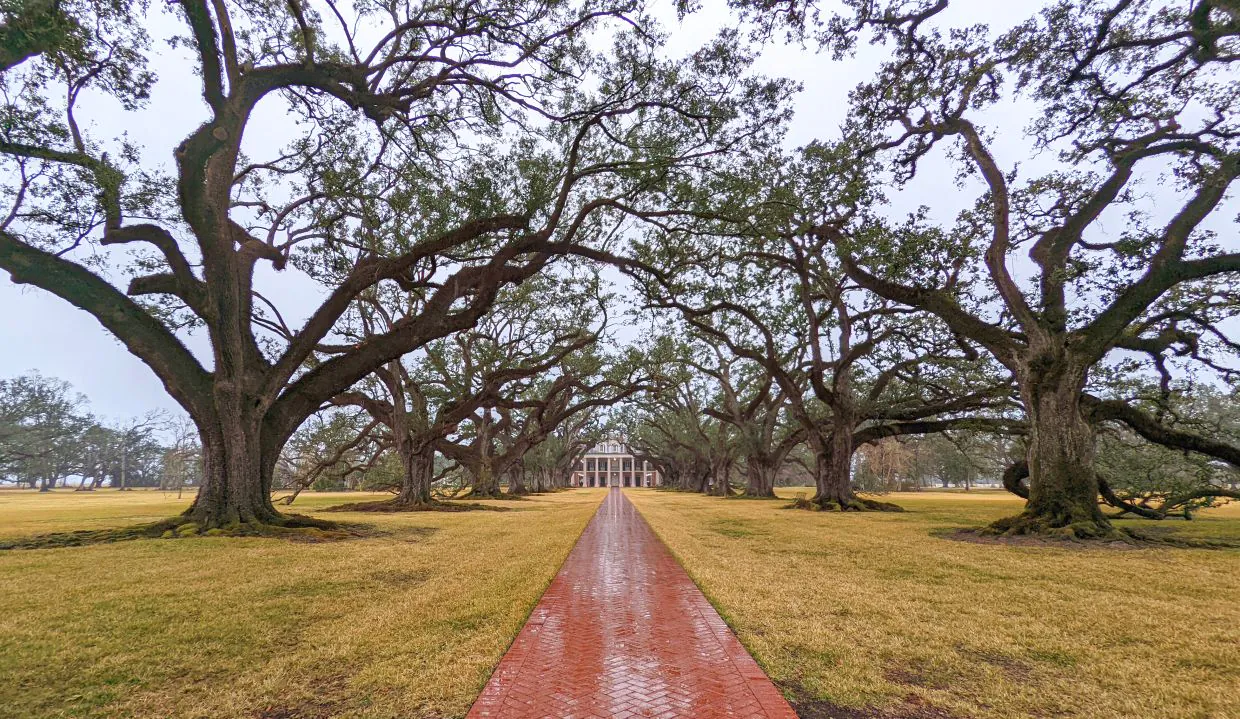 O que fazer nos arredores de New Orleans – 5 plantations