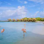 Viagem para Aruba – destino deixa de exigir teste e vacinação contra covid-19