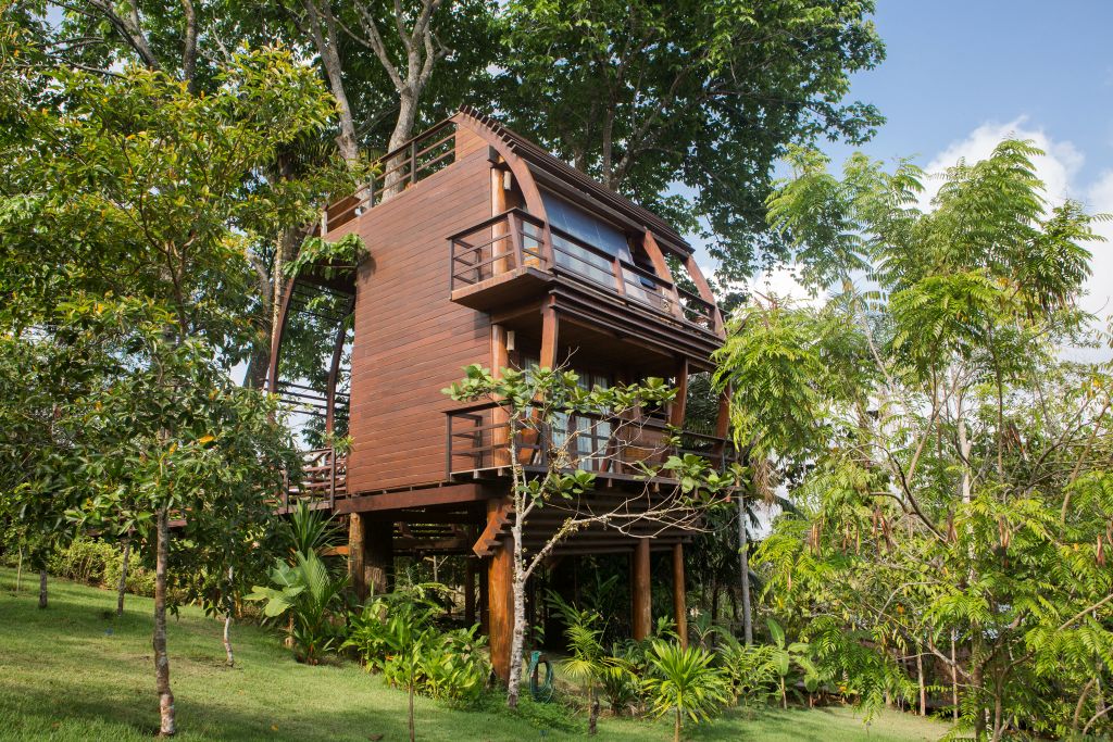 Quatro hotéis em meio à natureza brasileira para celebrar o Dia Mundial da Floresta