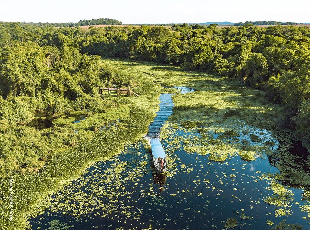 Ecoturismo no Brasil – Roteiro combina Pantanal e Bonito