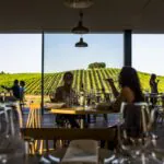 Por que o Alentejo é perfeito para degustar vinhos