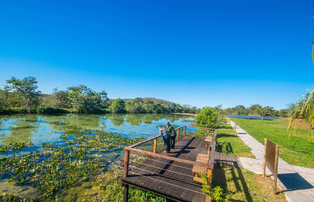 De Bonito ao Pantanal – O melhor do turismo no Mato Grosso do Sul