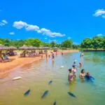 6 atividades para curtir as férias de julho em Bonito