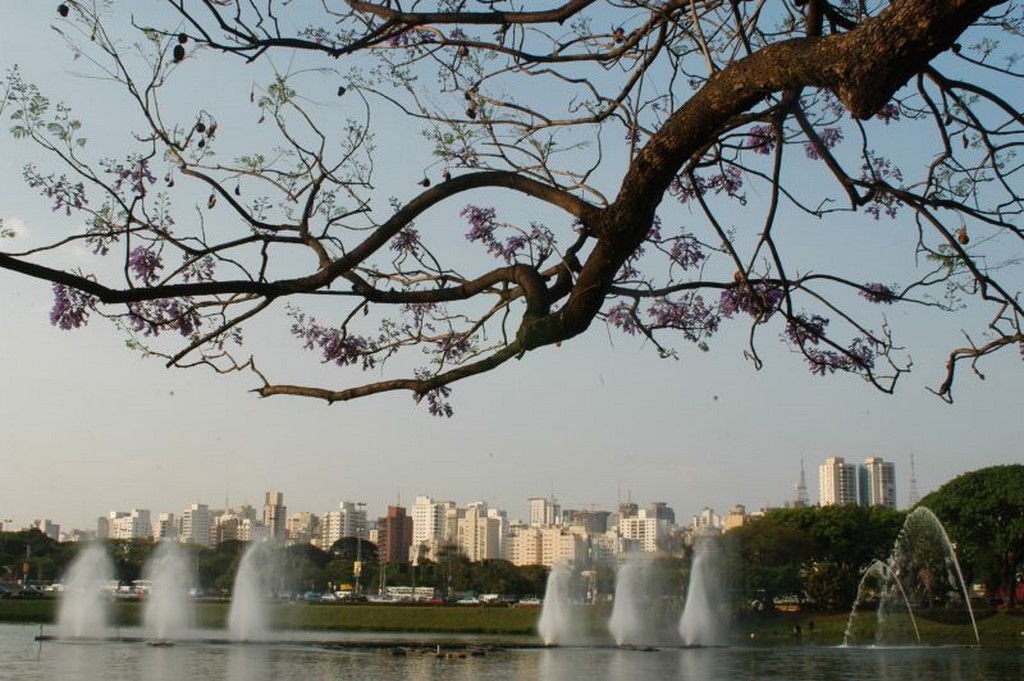 O que fazer em São Paulo – 30 passeios, hotéis e restaurantes