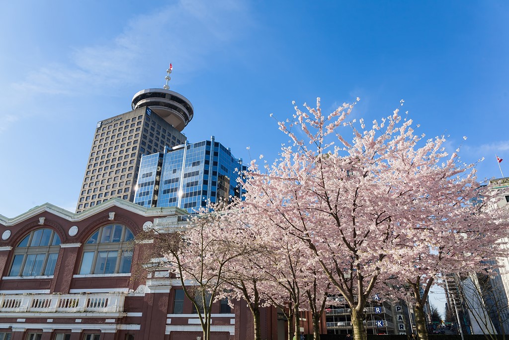 O que fazer em Vancouver – Passeios e dicas imperdíveis