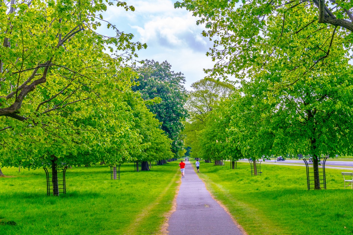 O que fazer em Dublin – Passeios, hotéis e dicas imperdíveis