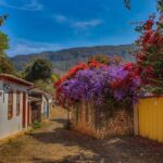 Bons motivos para curtir a primavera em Tiradentes