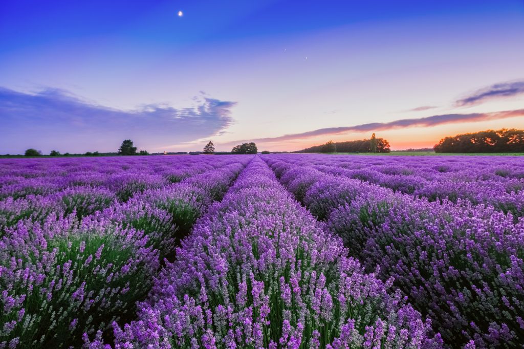 Hotéis na França – 10 opções incríveis na Provence