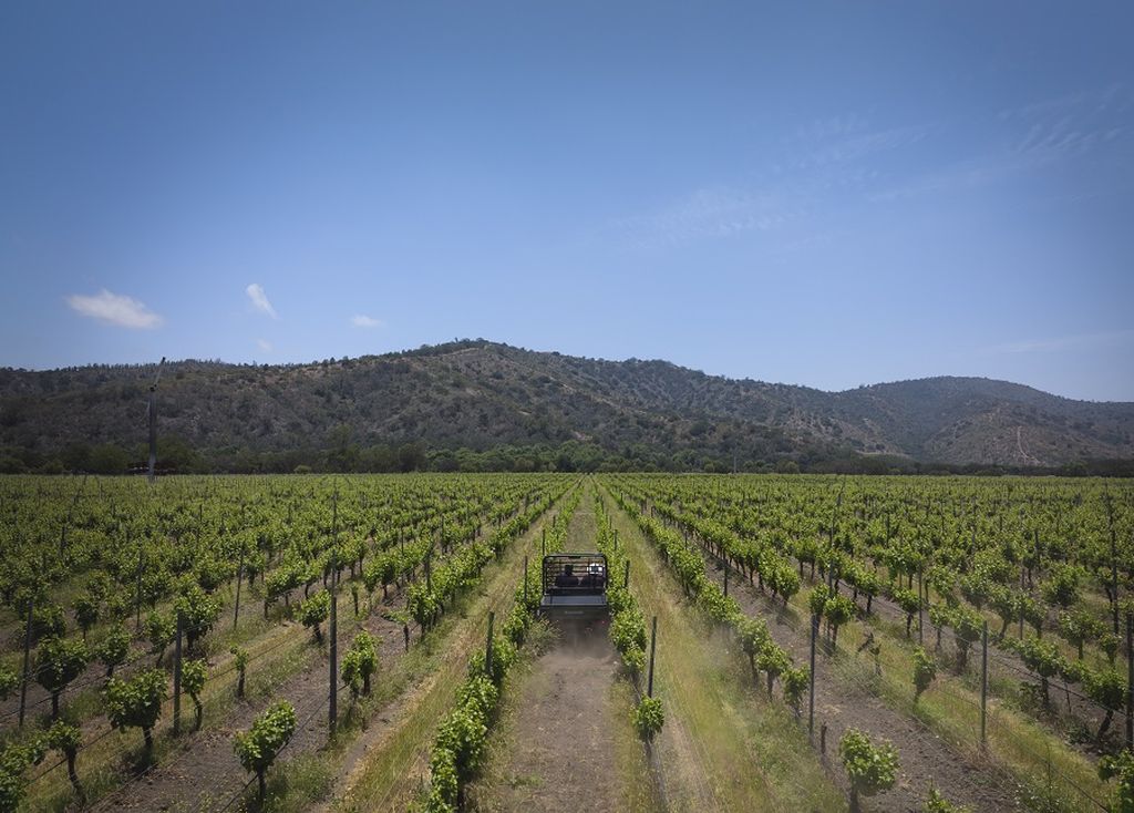 Vinícola Matetic, no Chile, lança nova experiência de enoturismo