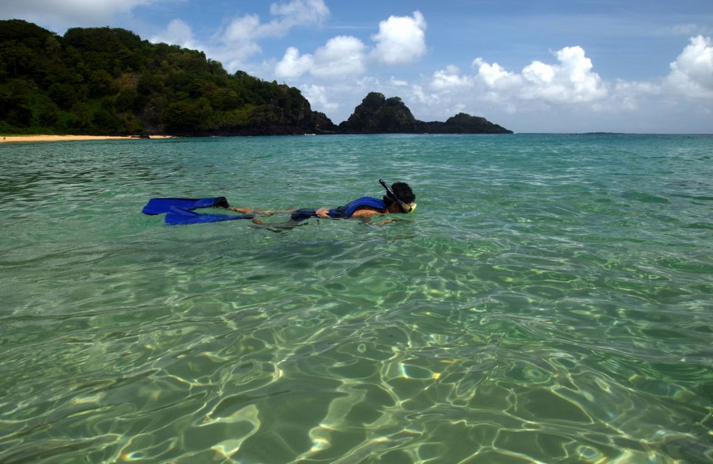 Dicas para mergulhar em Fernando de Noronha