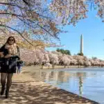 10 atrações grátis em Washington D.C. para visitar em roteiros de 1 a 3 dias