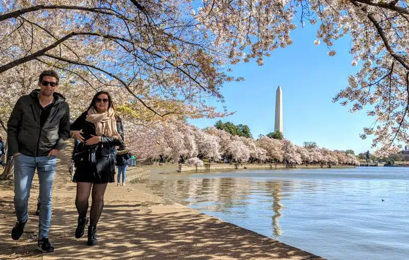 10 atrações grátis em Washington D.C. para visitar em roteiros de 1 a 3 dias