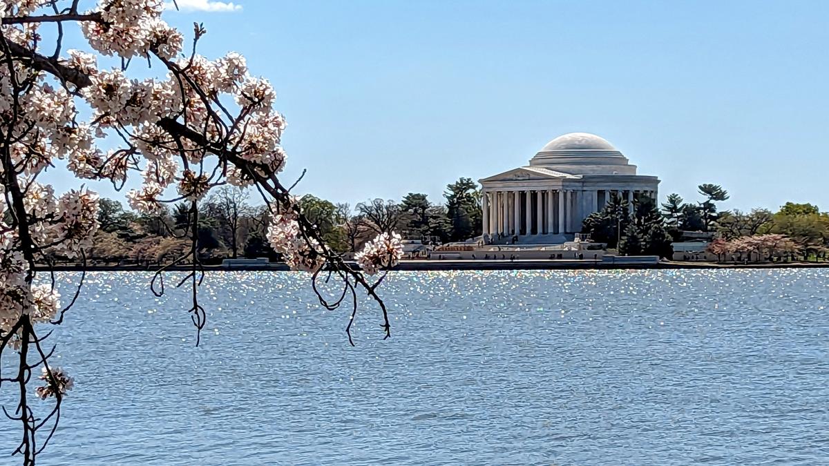 O que fazer em Washington D.C - atrações e dicas