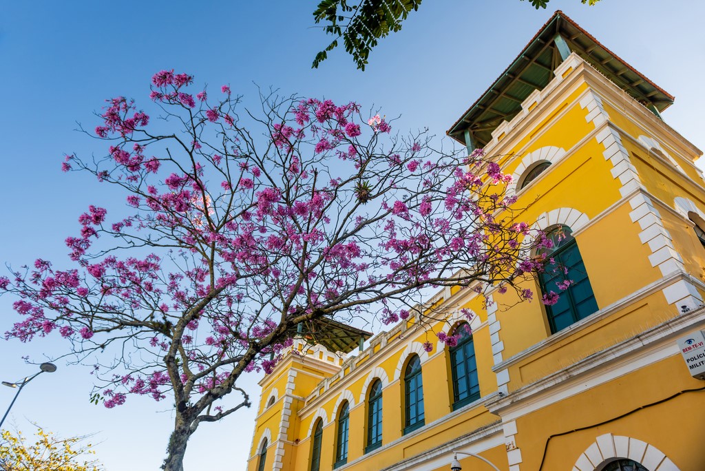 O que fazer em Florianópolis – 14 atrações imperdíveis