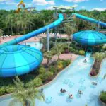 Aquatica Orlando anuncia novo toboágua