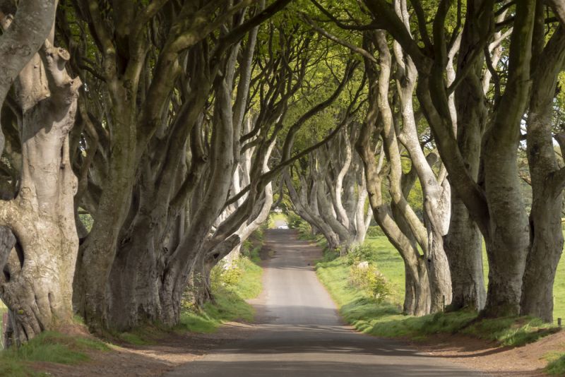 O que fazer na Irlanda do Norte: Belfast, Calçada dos Gigantes e +