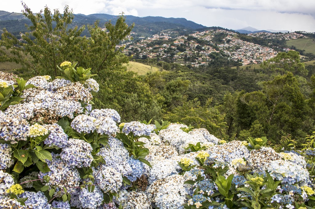 O que fazer em Campos do Jordão – 17 atrações imperdíveis